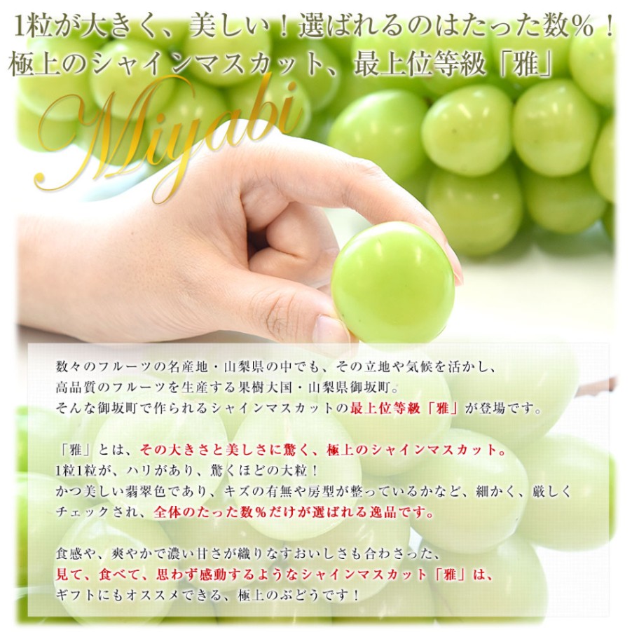 山梨県産 JAふえふき御坂支所 シャインマスカット 最上位等級「雅」約