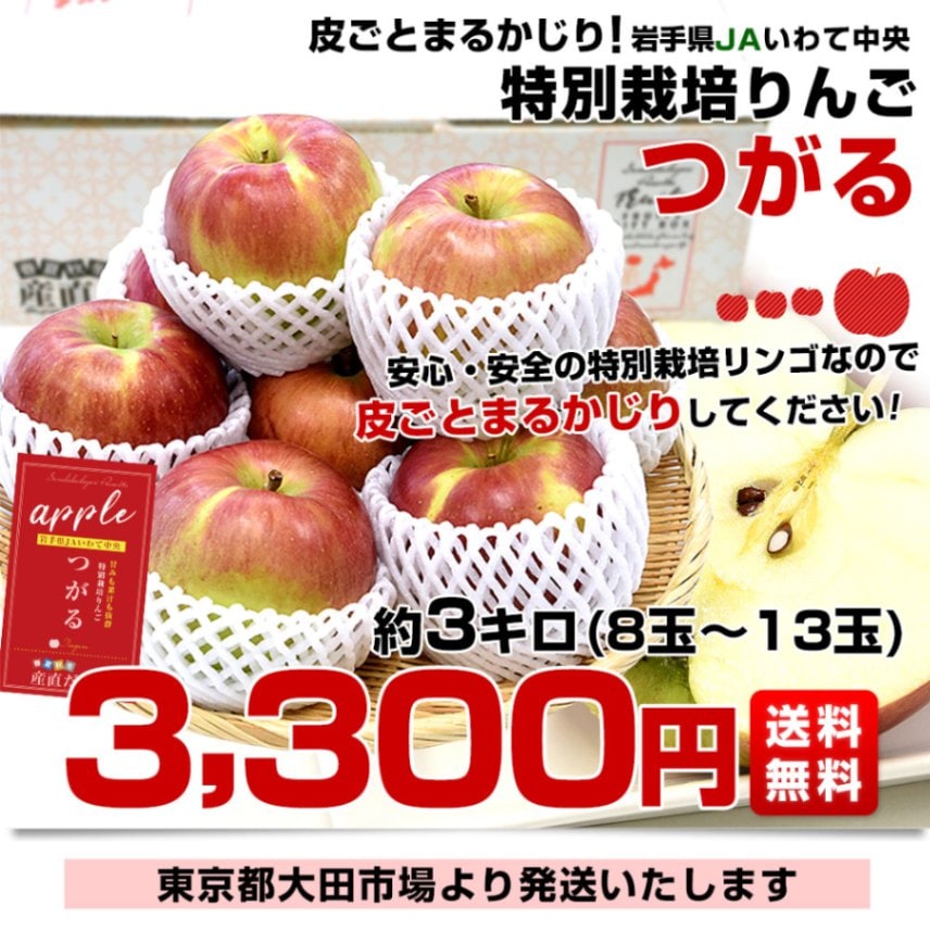 りんご タワー 岩手県産 りんご 贈答用 3kg 約 8玉 から 11玉 【小山田果樹園】 品種