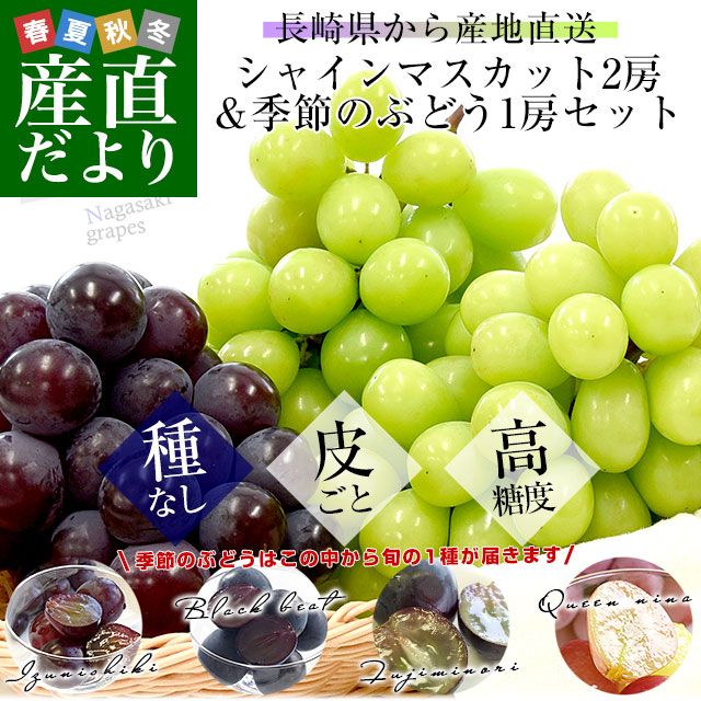 Ĺ�긩��껺��ľ�� �緿�֤ɤ� 2��3˼���åȡʥ��㥤��ޥ����å�2˼������Τ֤ɤ�1˼����ƺ �֤ɤ� ����̵��