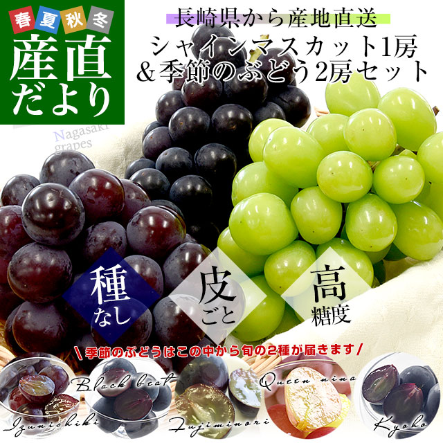 ぶどう　こちら専用のお品物となります 長崎県から産地直送 大型ぶどう 3種セット（シャインマスカット1房