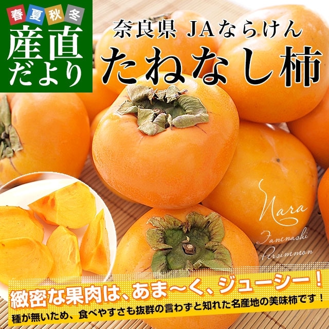 柿 10玉入 刀根柿 刀根かき 種なし 果物 和歌山県 奈良県 佐賀 カキ かき 柿 10玉入 刀根柿 刀根かき 種なし 果物 和歌山県 奈良県 佐賀