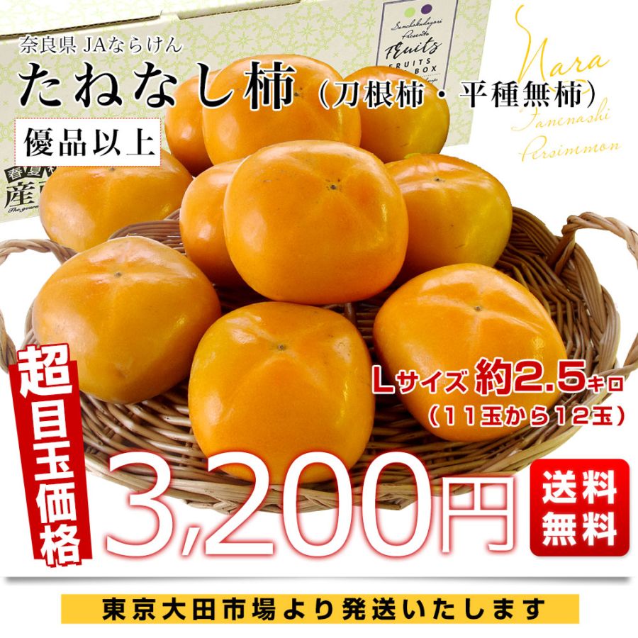 奈良県 JAならけん たねなし柿（刀根柿・平種無柿）優品以上 Lサイズ