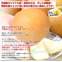 茨城県産 梨 恵水 優品以上 大玉 約2キロ（4玉から6玉入り）送料