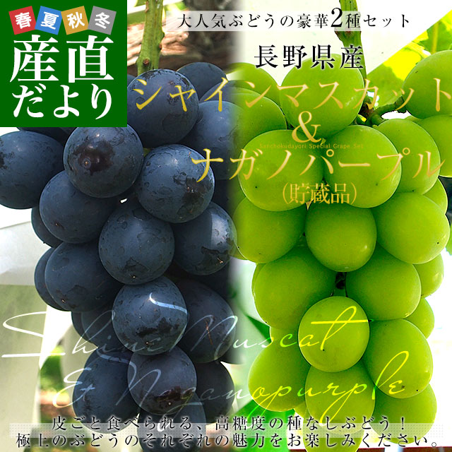 長野県産 シャインマスカット＆ナガノパープル（貯蔵品） 各1房 合計約
