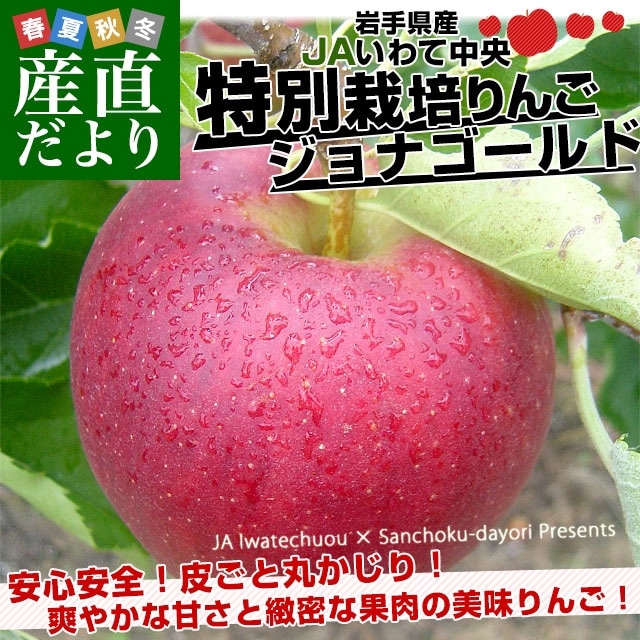 긩 JA ̺ݤ ʥ 38̤13̵ Ӹ 