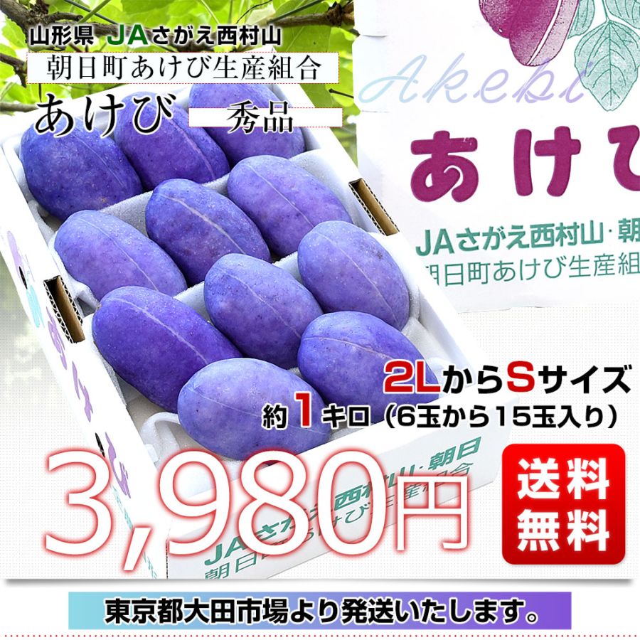 山形県 JAさがえ西村山 朝日町あけび生産組合 あけび 秀品 2LからS