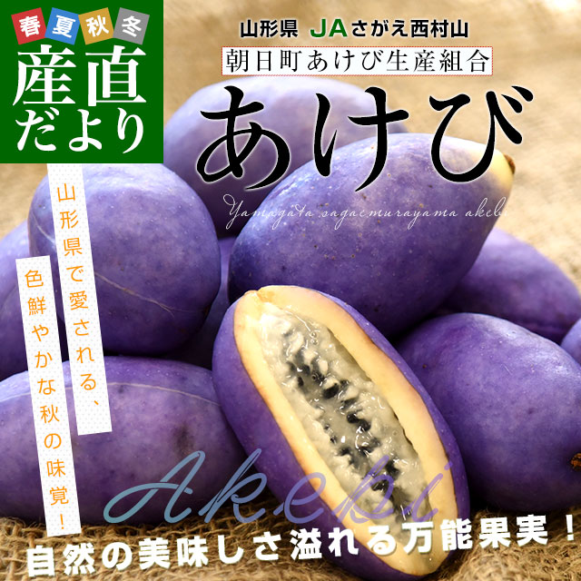 揚山あげ様リピ様割引36 Hayabusa (10枚セット)ハヤブサ/Hayabusa 小アジ専科 リアル魚鱗サバ皮