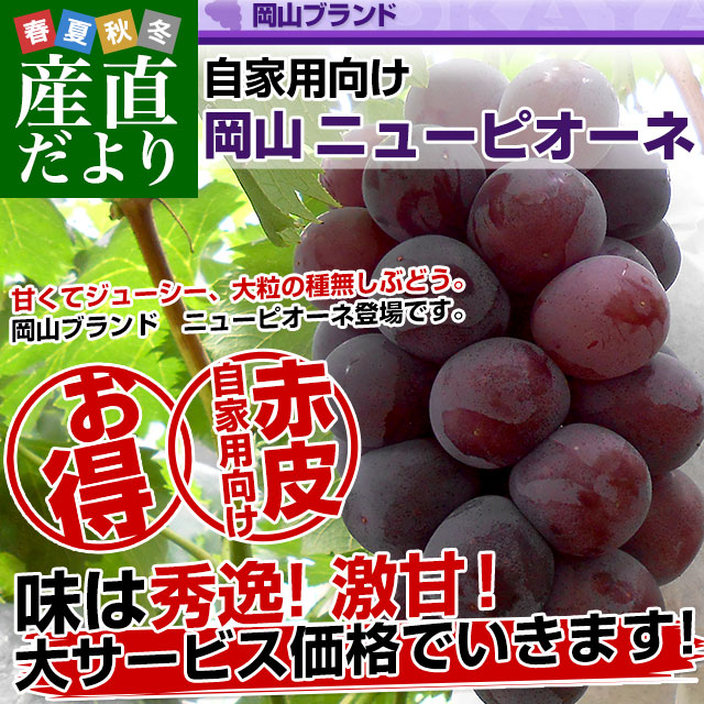 食品 岡山 高級 ピオーネ 約5kg 8-10房 種なし 黒ぶどう 葡萄