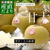 ���ڸ���껺��ľ�� JA���ĤΤߤ���� �����ʤ��󤿡� ��̸��� ���� ��5���� ��6�̤���12�̡� ����̵�� �� �ʥ�