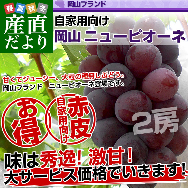 岡山県産 自家用 ニューピオーネ 約1キロ（2房）送料無料 ぶどう 種