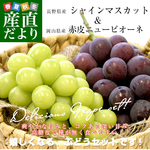 長野県産 シャインマスカット＆岡山県産 赤皮ニューピオーネ 合計約1