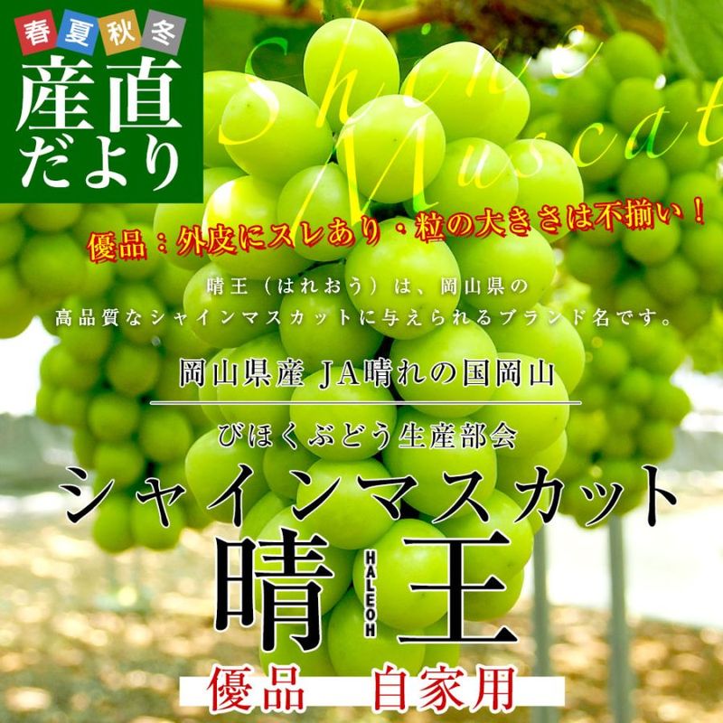 ����������JA����ι񲬻� �Ӥۤ����ꥢ�������� ���㥤��ޥ����å� �����ʤϤ줪������2.4������4˼�����ͥ�� ����̵�� ��ʤ��֤ɤ� ��������