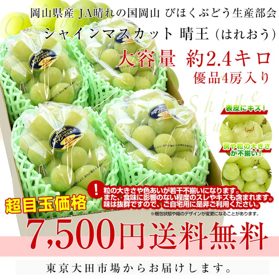 岡山県産 JA晴れの国岡山 びほくエリア 自家用 シャインマスカット 晴