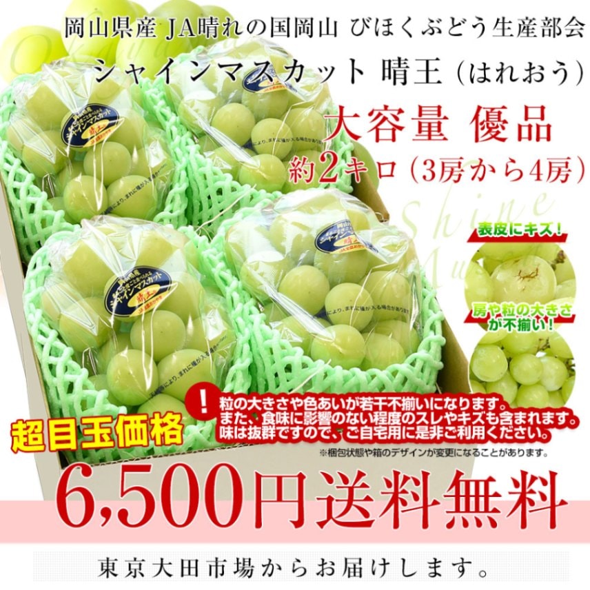 岡山県産 JA晴れの国岡山 びほくぶどう生産部会 シャイン