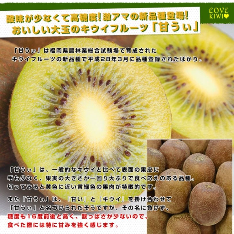 福岡県産JA全農ふくれん 福岡オリジナルキウイ 甘うぃ（あまうぃ）A品