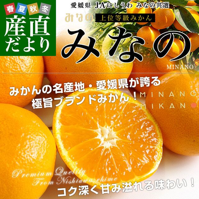 お歳暮 ギフト】愛媛県より産地直送 JAにしうわ みなの共選 上位等級