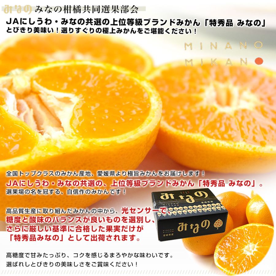 お歳暮 ギフト】愛媛県より産地直送 JAにしうわ みなの共選 上位等級