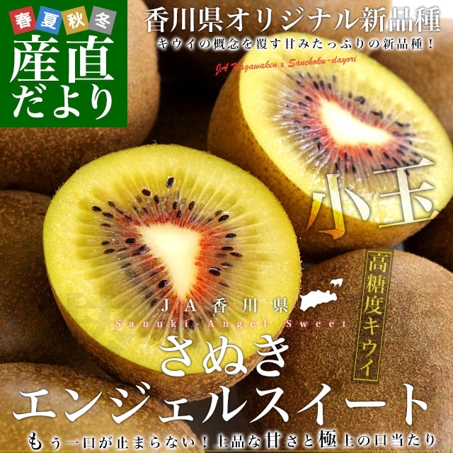 껺ľ JA ե롼 ̤󥸥륹Ⱦ 1.4 28 ե롼 ̵