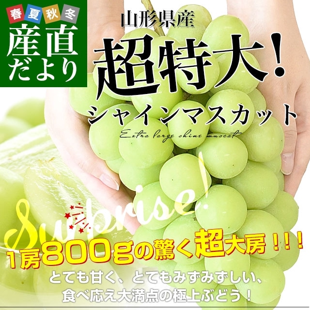 山形県産 超特大シャインマスカット 約800g(1房) 送料無料 ぶどう 葡萄
