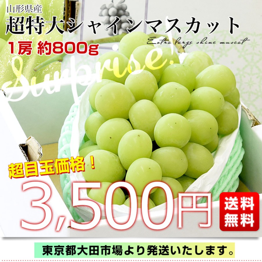 山形県産 超特大シャインマスカット 約800g(1房) 送料無料 ぶどう 葡萄