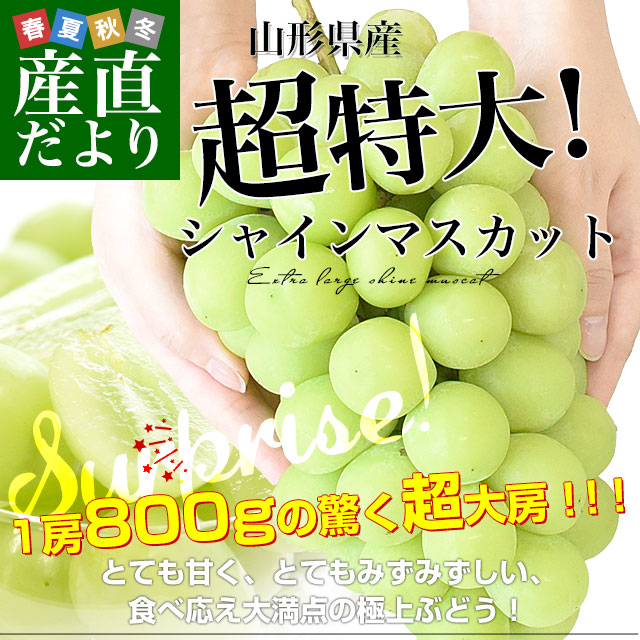 山形県産 超特大シャインマスカット 約800g(1房) 送料無料 ぶどう 葡萄