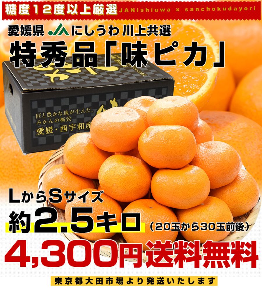 金華山みかん村ページです☆ 0906193024_63172140e9aac.jpg