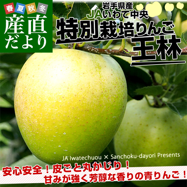 岩手県産 JAいわて中央 特別栽培りんご 王林 約3キロ（8玉から13玉入り