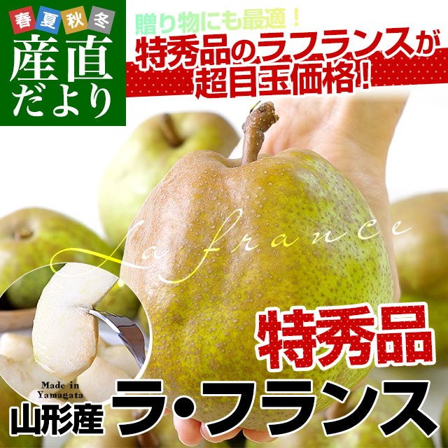 山形県産 ラフランス 特秀 5キロ（12玉から16玉）送料無料 市場発送 ラ
