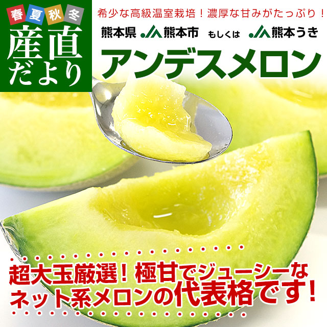 熊本県産 JA熊本市又はJA熊本うき アンデスメロン 4Lから3Lサイズ 秀品