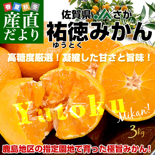 みかん専用 限定50箱】ふじ農園 山北早生みかん 2S(約40玉)～M(約25玉)2.5