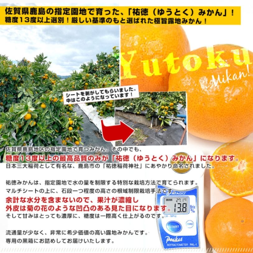 佐賀県より産地直送 JAさが 祐徳(ゆうとく)みかん 等級：一押し LからM