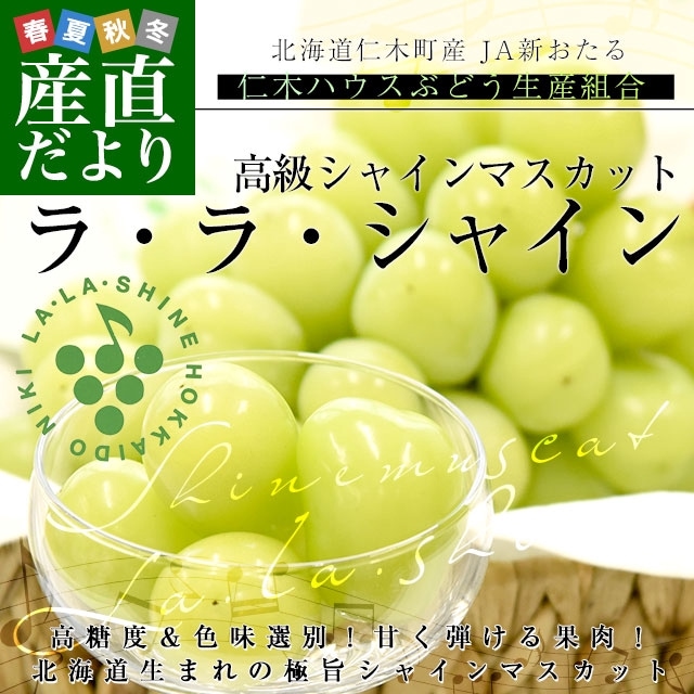 �̳�ƻ���黺��ľ�� JA�������� ���ڥϥ����֤ɤ������ȹ� ���㥤��ޥ����åȡ֥顦�顦���㥤���1˼(700g�ʾ�)����Ȣ ����̵�� ���ե� ��������