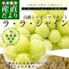 ̳ƻ黺ľ JA ڥϥ֤ɤȹ 㥤ޥåȡ֥顦顦㥤1˼(650gʾ)Ȣ ̵ ե 