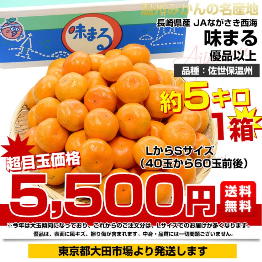 長崎県 JAながさき西海 味まる「品種：佐世保温州」LからSサイズ 優品