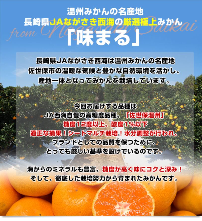 長崎県 JAながさき西海 味まる「品種：佐世保温州」LからSサイズ 優品