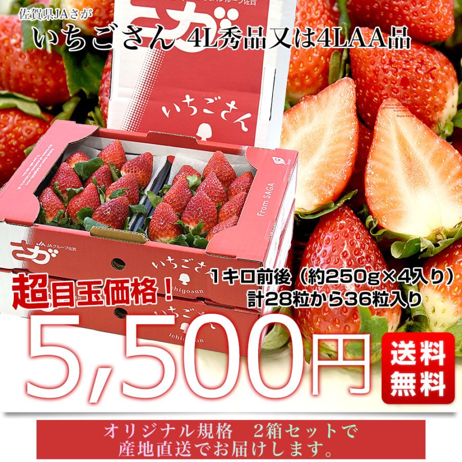 佐賀県より産地直送 JAさが いちごさん 大粒 4L秀品又は4LAA品 1キロ