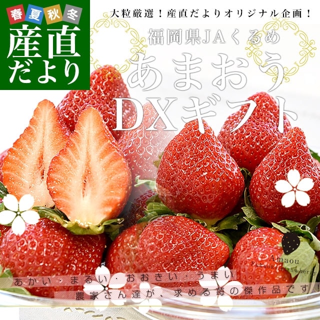 ʡ껺ľ JA ޤ DX 540g270g2˷12γ24γ ̵   from彣