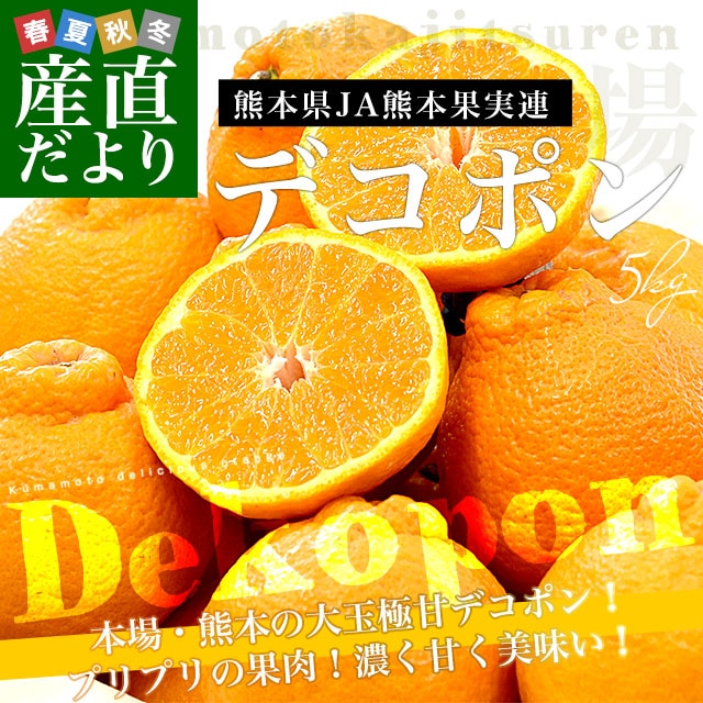 熊本県産 JA熊本果実連 デコポン 5キロ 4Lから2Lサイズ (15玉から20玉