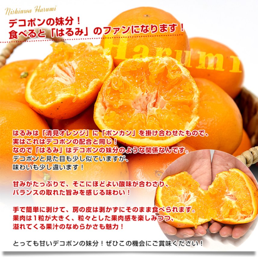 愛媛県 JAにしうわ 三崎共選 はるみ 優品以上 約2.5キロ2LからSサイズ