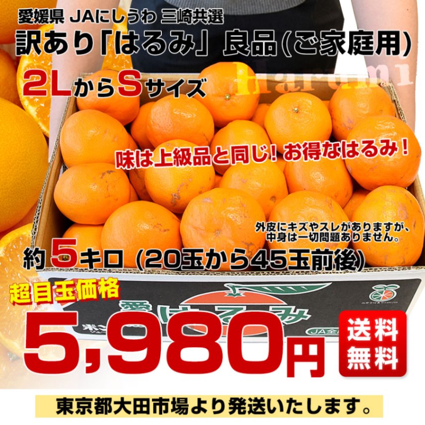 愛媛県 JAにしうわ 三崎共選 訳あり はるみ 良品(ご家庭用) 約5キロ2L