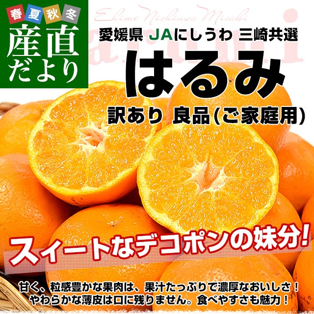 愛媛県 JAにしうわ 三崎共選 訳あり はるみ 良品(ご家庭用) 約5キロ2L