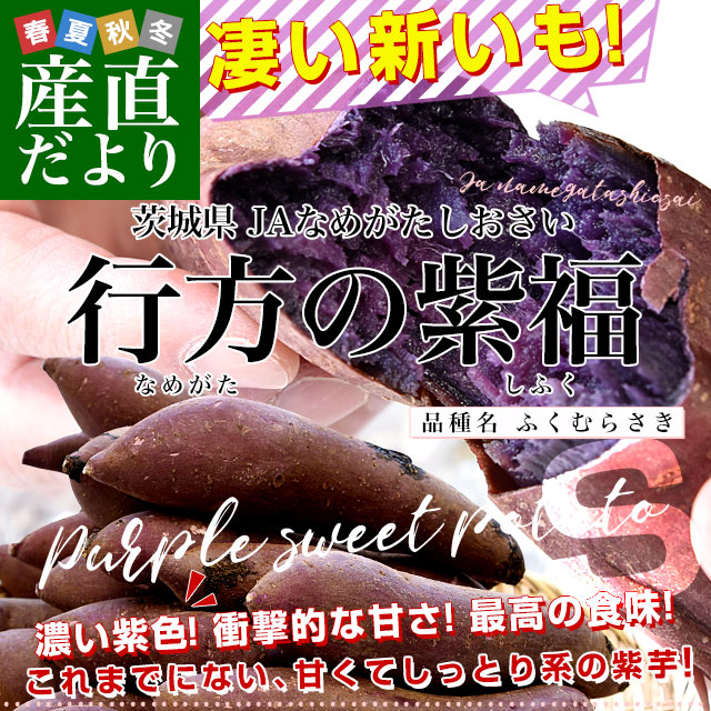 ふくむらさき芋苗50本はるか100本 さつまいも苗 【 ふくむらさき 紫芋 】10