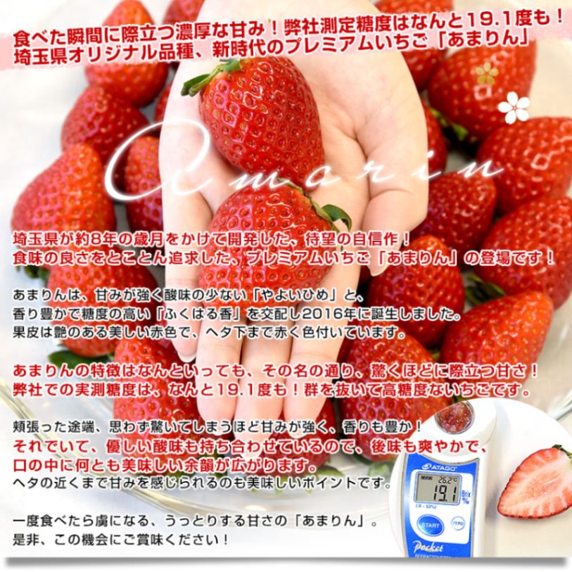 埼玉県から産地直送 プレミアムいちご あまりん 化粧箱 苺専用箱ゆり