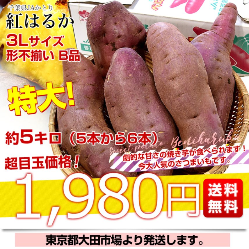 はるか様　複数購入③ 千葉県産 JAかとり 紅はるか B品 3Lサイズ 約5キロ(5～6本) 送料無料