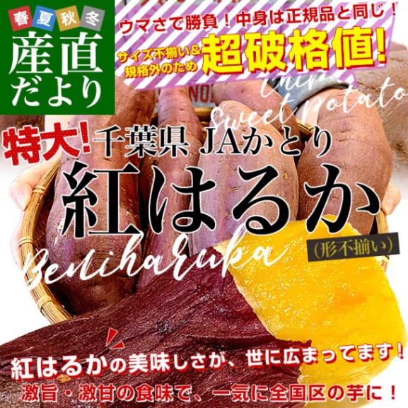 千葉県産 JAかとり 紅はるか B品 3Lサイズ 約5キロ(5～6本) 送料無料