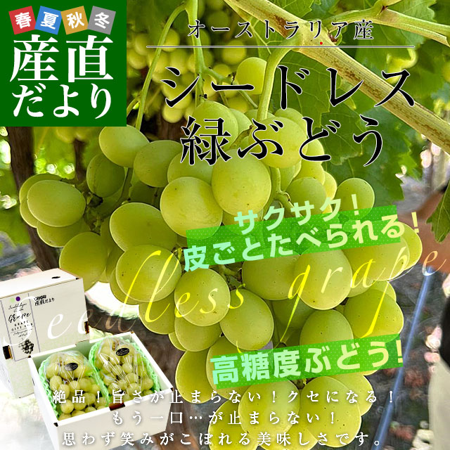 皮ごと食べられる！高糖度！シードレス緑ぶどう オーストラリア産 約