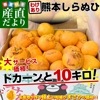 ���ܸ��� �����ꤷ��̤� �羮�� ��10���� ���β� ����̤� ���� ����� ����̵�� �Ծ�ȯ��