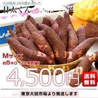 大分県産 JAおおいた 甘太くん Mサイズ 約5キロ（28本前後）送料無料