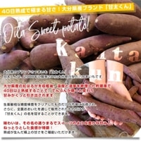 大分県産 JAおおいた 甘太くん Mサイズ 約5キロ（28本前後）送料無料