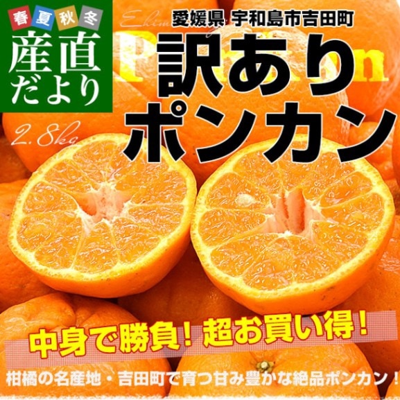 ぽんかん　まとめ売り 愛媛県 宇和島市吉田町 訳ありポンカン 3Lから2Lサイズ 約2.8キロ (11